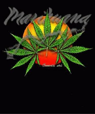 LEGALIZACION!!!!Marihuana,la medicina prohibida.